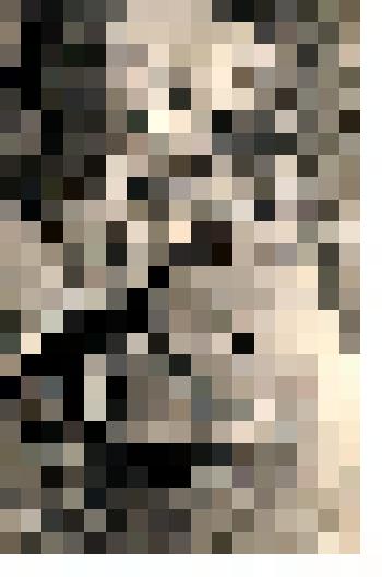 Фотография. Дорофеев Григорий Иванович, командир 3 роты партизанского отряда Ковпака