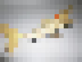 Сувенир "Рыба"