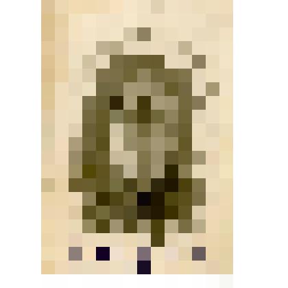 Фотопортрет. Зверев Алексей Андреевич