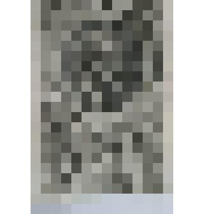 Портрет Георга [Дугласа -] Гамильтона, [I] графа Оркни