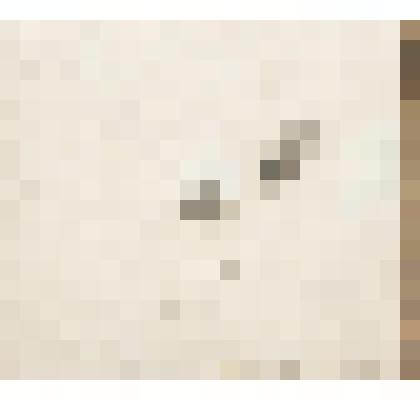 Кисть руки и стопа