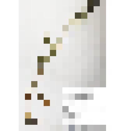 Гербарий
Костер Ричардсона