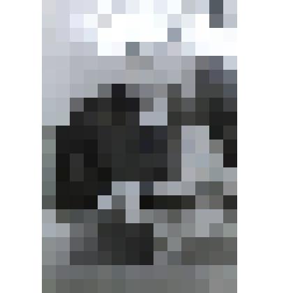 Фото. Бочкарёв Александр Панкратович, политический деятель, уроженец Новоспасского района