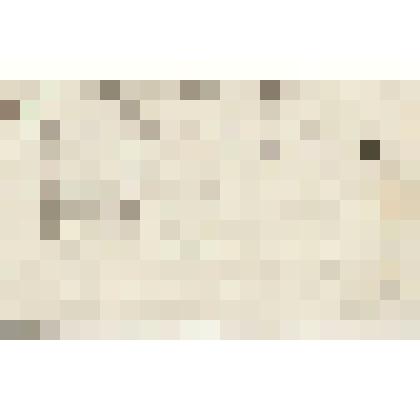 Записка от Я.Кузнецова Г.П. Гусеву, 1872 г