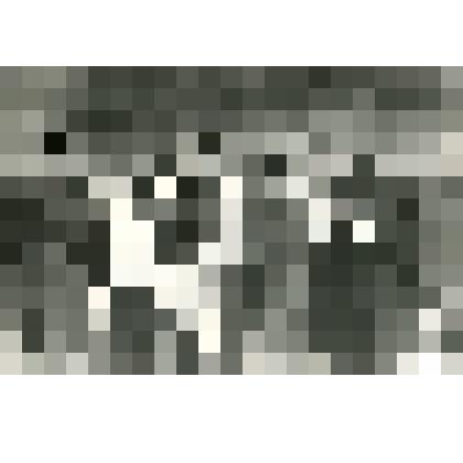 Фото групповое. Гармаш Д.М.  (1-я справа)