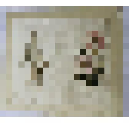 Аппликация цветов