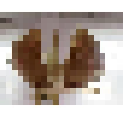 Игрушка-сувенир «Птица счастья»