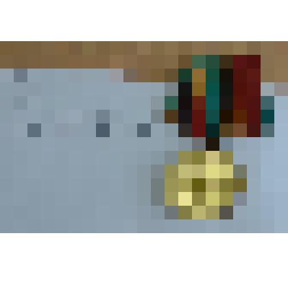 Медаль 40 лет Победы в Великой Отечественной войне 1941-45 гг. Толстоброва М.С