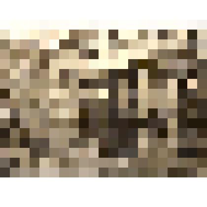 картина "Дом А.П.Чехова в Ялте"