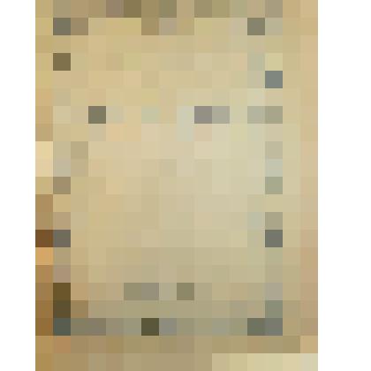 Книга "Медведь"