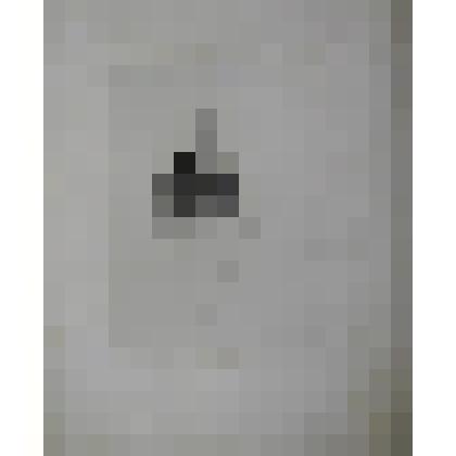 Портрет. Жуковский Василий Андреевич