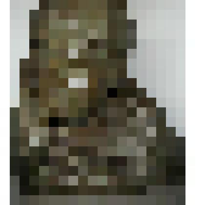 Портрет капитана Соколова