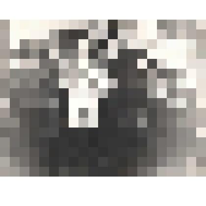 Фотография Эльджуркаева Зайнаф Омаровна-ветеран труда, ветеран Тырныаузского вольфрамо-молибденового комбината