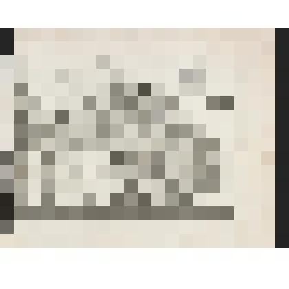 Графика. Проект англо - китайского сада малого Трианона