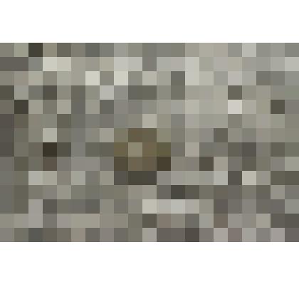 Монета Банка России 10 копеек 2000 г