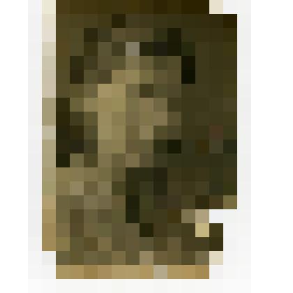 Фотография. Портрет Р.И. Чернышовой, жительницы села Коломенского