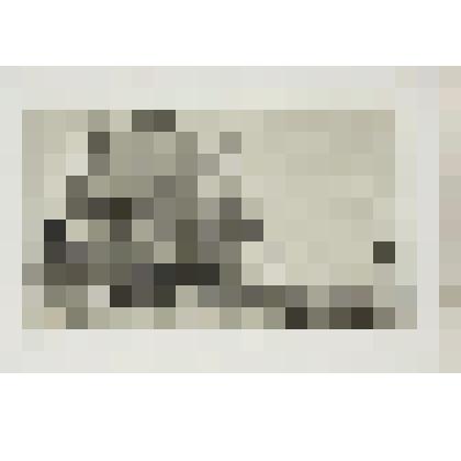 Литография. "Берега Волги. Постоялый двор (кабак) и почтовая станция. Дорога из Костромы в Ярославль."