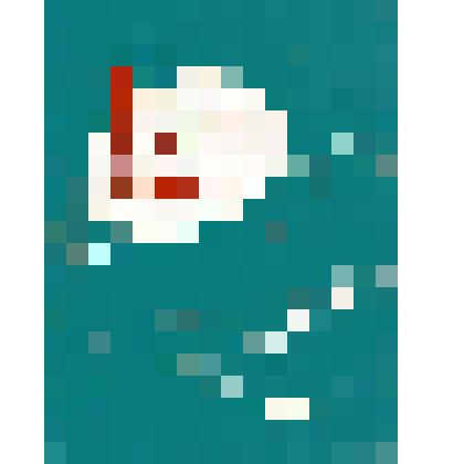 Нотное издание: Песни солнечного края