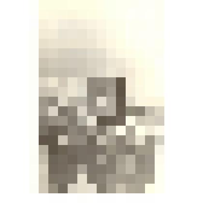 Фотография: первомайская демонстрация в г.Камень-на-Оби Алтайского края