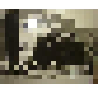 Фотография. Демонстрация в честь 50-летия Октября