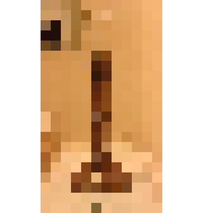 Подсвечник садовый. Принадлежал писателю И.А. Гончарову (1812-1891 гг.)