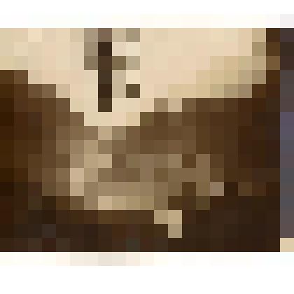 Фотография. Снимки лесной партии. Лесной пейзаж