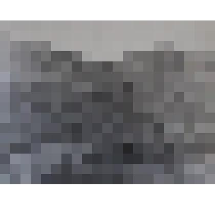 Фото Голец большой Сохондо