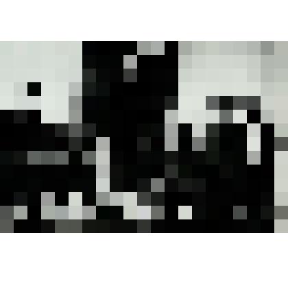 Фотография. «Сбор труппы театра ДК Ж/Д. г. Южно-Сахалинск, 1981г»