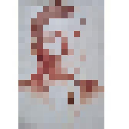 Портрет Героя Советского Союза Санникова Степана Григорьевича