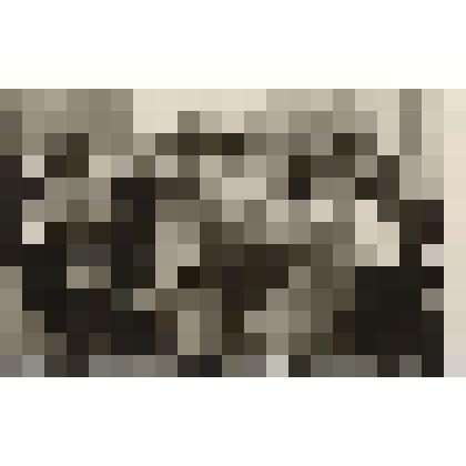 Фотография. Встреча ветеранов Великой Отечественной войны 9 мая в столовой водников