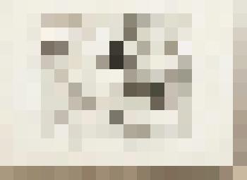 Следки и руки