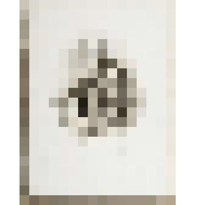 Портрет митрополита Московского Филарета. С портрета Н.Д. Шпревича. Оттиск с авторской доработкой карандашом