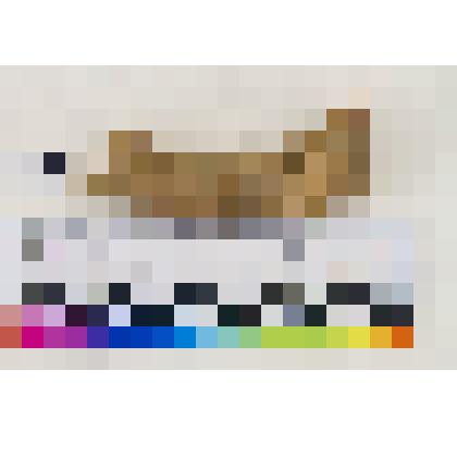 Игрушки-лошадки красноглиняной, покрытой белым ангобом голова