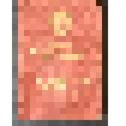 Книжка орденская к ордену Красного Знамени за № 8517 на имя Карунина Тихона Степановича