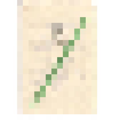 Документ. Удостоверение на получение пенсии, Ребриной Екатерины Александровны. В. Уфалей