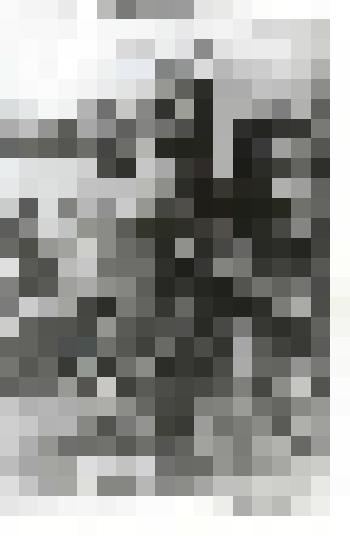 Фотография. Г. С. Эфрон и А.С. Эфрон. Лето 1929 г. Комплект фотографий с изображением М. Цветаевой, А.С. Эфрон, Г.С. Эфрона (Мур) в 1920-1930-х гг. во Франции. Копия