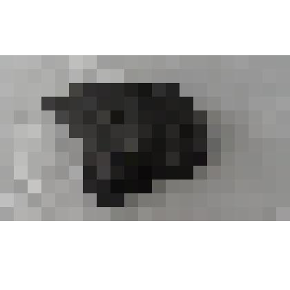 Окаменелость