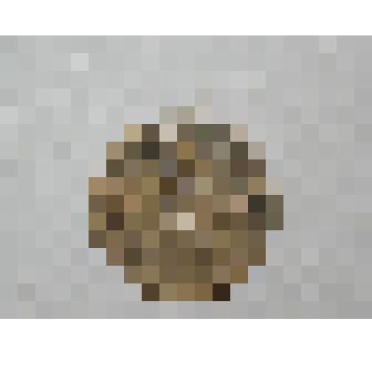 Монета. 2 копейки