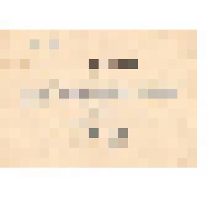 Документ. Справка об объявлении благодарности за отличные боевые действия при разгроме окруженной группы немецких войск и за освобождение городов Корнейбург и Флоридсдорф. Выдана гв. рядовому Калмыкову Михаилу Семёновичу