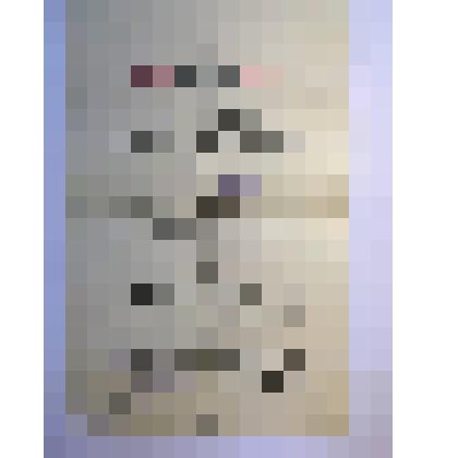 Удостоверение к медали 
«За оборону Ленинграда» № И 23452  на имя Хмельницкого Исая Львовича от 1 июня 1943 г