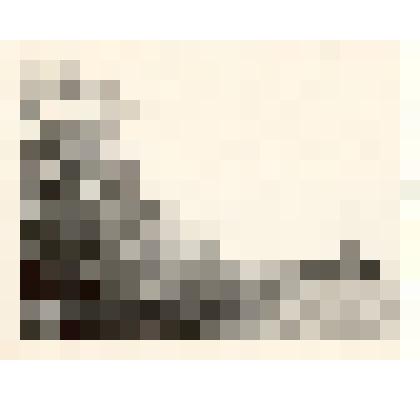 Фотография: уборка кукурузы на силос в совхозе "Октябрь" Каменского территориального колхозно-совхозного управления