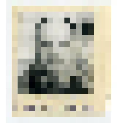 Фотопортрет Рогова П.Т. – 25-ти тысячный посетитель музея, 11 марта 1975 г