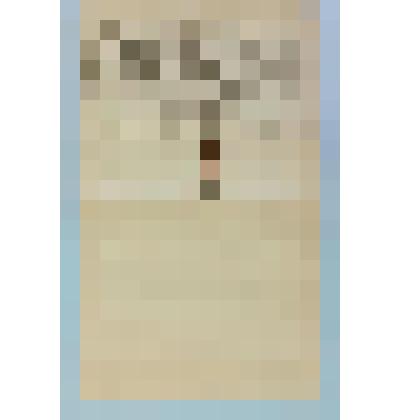 Документ. Отчет  инженера И.Д.Элькинда о получении от И.Д.Сытина 15 000 рублей