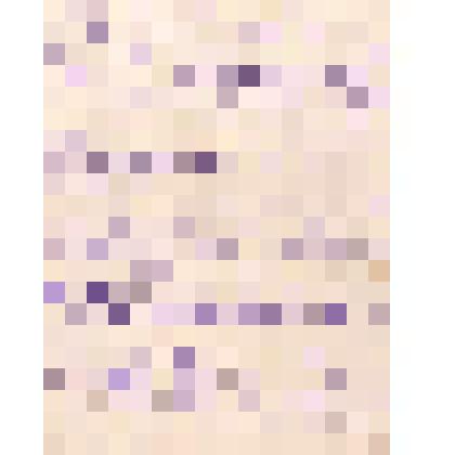 Акт "О контрольной проверке мест рубок колонны №24"