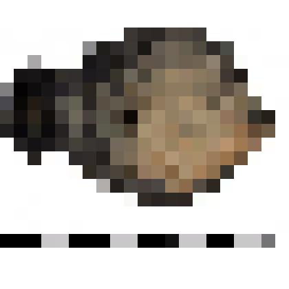 Светильник закрытый сероглиняный однорожковый