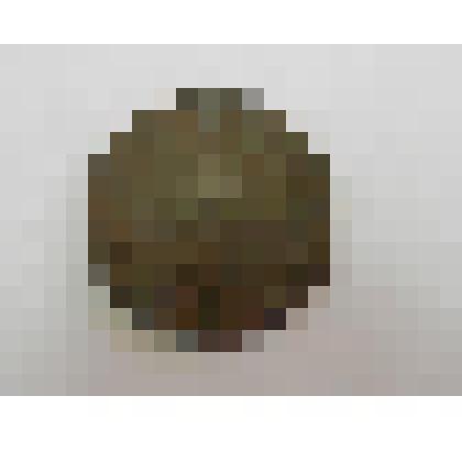 Монета медная достоинством 3 копейки