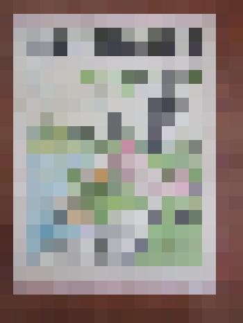 Журнал «Крокодил» № 20 (2138) июль  1975