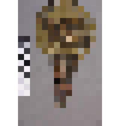 коллекция В.Ф. Лагодича. «Ручное зеркало эпохи бронзы». Латунное зеркало. Ручка изготовлена в виде женской фигуры. Обратная сторона зеркала украшена изображением грифона из меди с крыльями и короной из латуни. Перед передними лапами грифона на латунном об