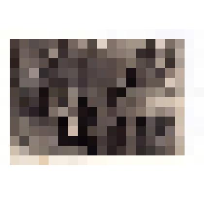 Фотография: Екатерина Ивановна и Сергей Александрович Васнецова в Абрамцево около избушки на курьи ножках ( по рисунку Виктора Михайловича Васнецова) 17/IX-1950