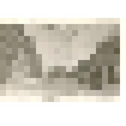 Фотография: вид улицы Главной с.Камень Барнаульского уезда Томской губернии. Копия